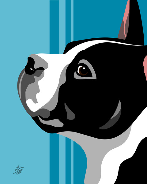 Boston Terrier Face Profile Print