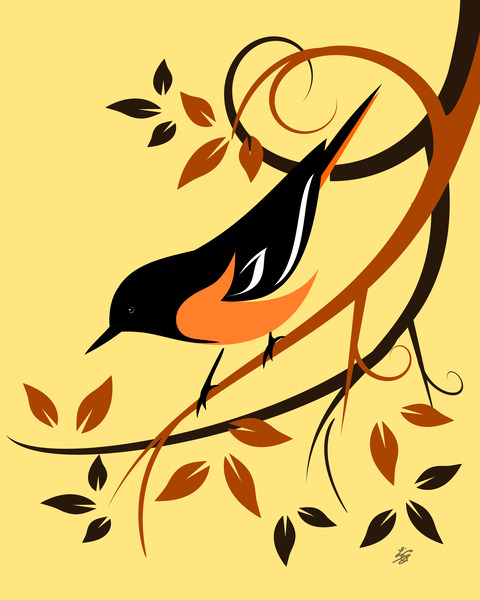 Baltimore Oriole Bird Print