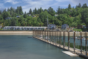 Pier Perfect Views