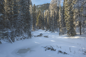 A Winters stream