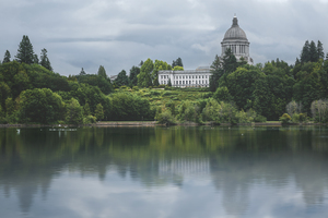 Capitol reflections