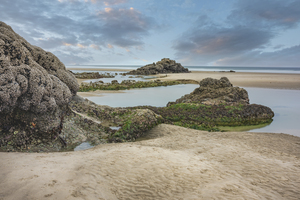 Captivating Tide Pools