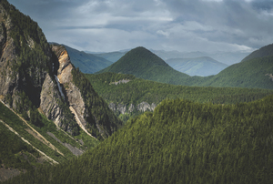 Spectacular Stevens Canyon