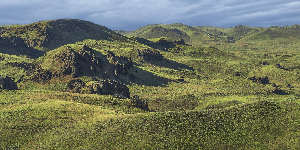 Summer Owyhee Light