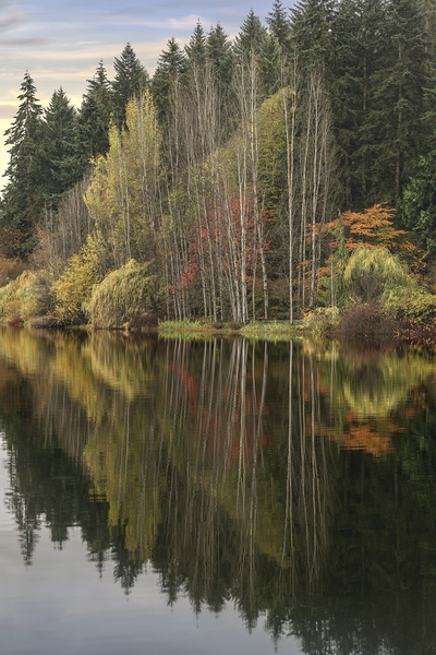 Autumns Reflection  Print