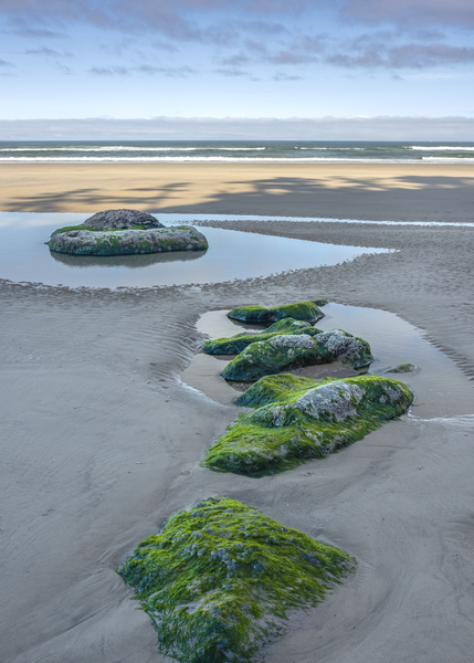 Algaes Embrace  by Louis Ruth Photography
