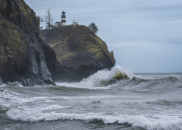 Cape Disappointment Print