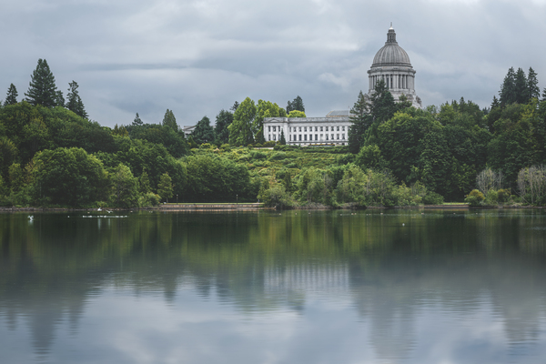 Capitol reflections Print
