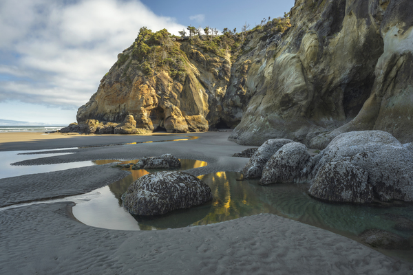 Golden Radiance by Louis Ruth Photography