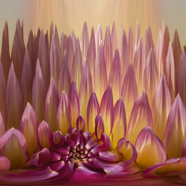 Heavenly Light Print