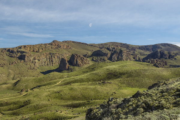 Owyhee Greens two by Louis Ruth Photography