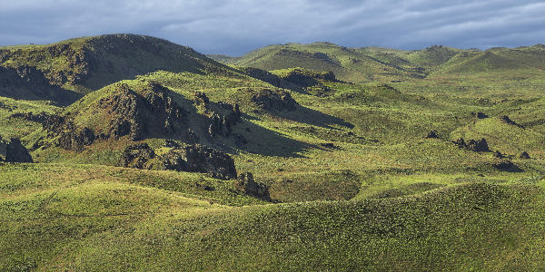 Summer Owyhee Light Print