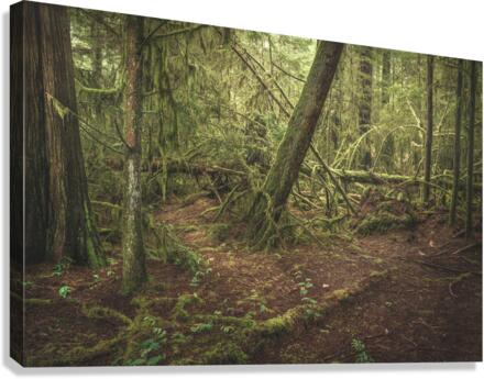 Infinitely healing Canvas Print