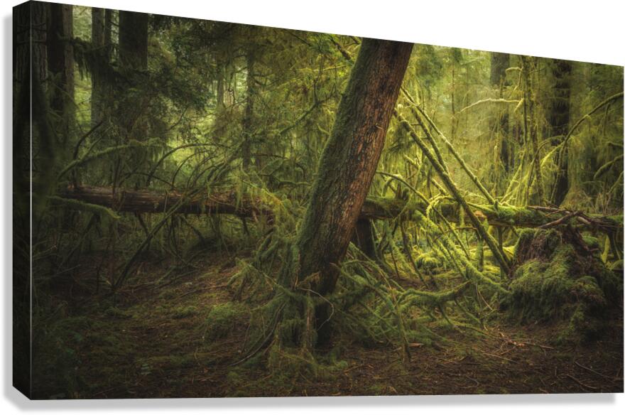 The Fallen 2 Canvas Print