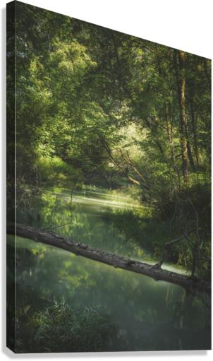 Inspiration Canvas Print