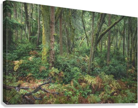 Another world Canvas Print