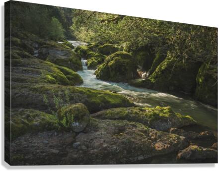 Deschutes River Canvas Print