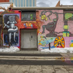 Freak Alley 404