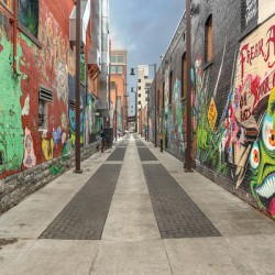 Freak Alley