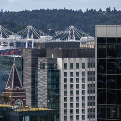 Seattle Port Shadows
