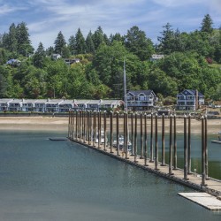 Pier Perfect Views