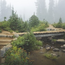 Find your Path