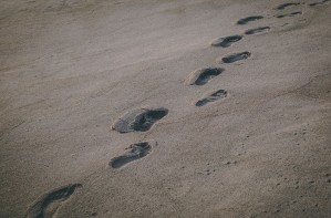 Leave Only Footprints