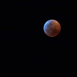 Once In A Blood Moon