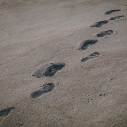 Leave Only Footprints