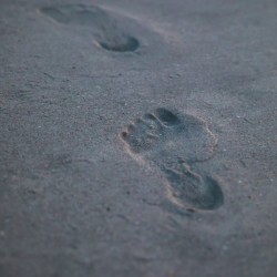Footsteps in the Sand