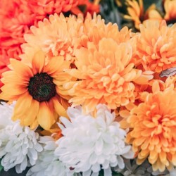 Sea of Yellow