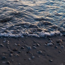 By The Sea