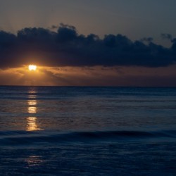 Solace