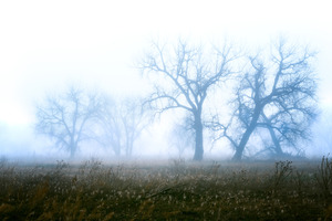 20170402 KW FL When Will You See