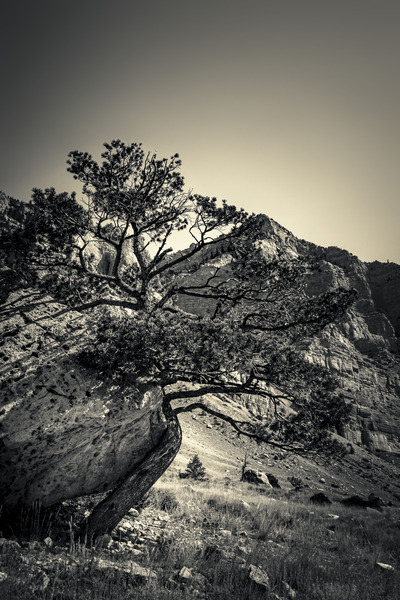 16x24 20170826 KW LN Find a Way Print