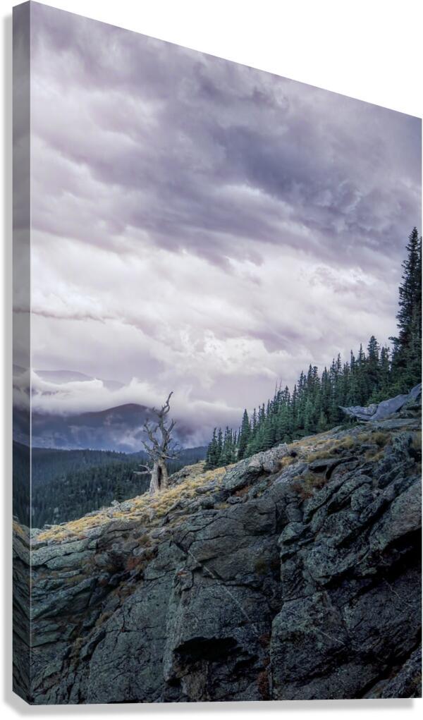 16x24 Last Stand Canvas Print