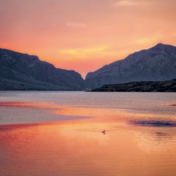 16x24 20170821 KW Buffalo Bill Res Sunrise