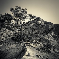 16x24 20170826 KW LN Find a Way