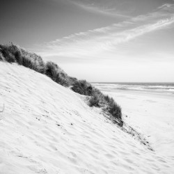 20140622 KW LN Oregon Coast Dunes