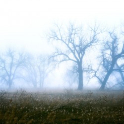 20170402 KW FL When Will You See