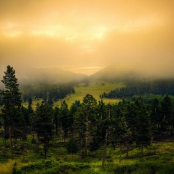 24x16 20220724KW Mountain Forest Fog Glow proofed