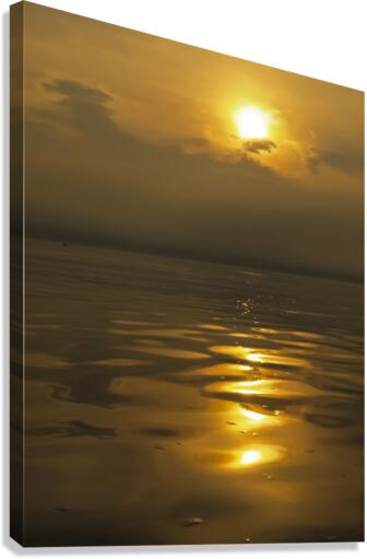 Liquid Gold Canvas Print