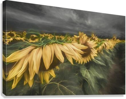 Bedtime Canvas Print
