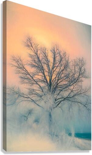 The  Wanderer Canvas Print