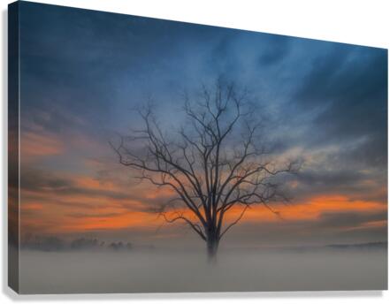 Sunset Ribbon Canvas Print