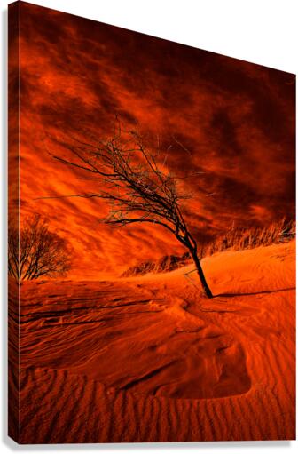Marooning Dune Canvas Print