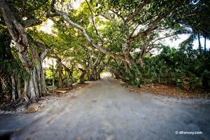 Banyan Street  Boca Grande Fl