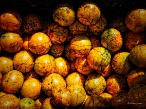 Textured Oranges
