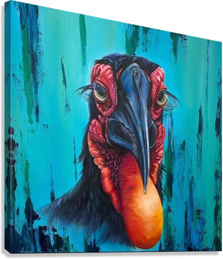 hornbill Canvas Print