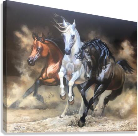 horses Canvas Print